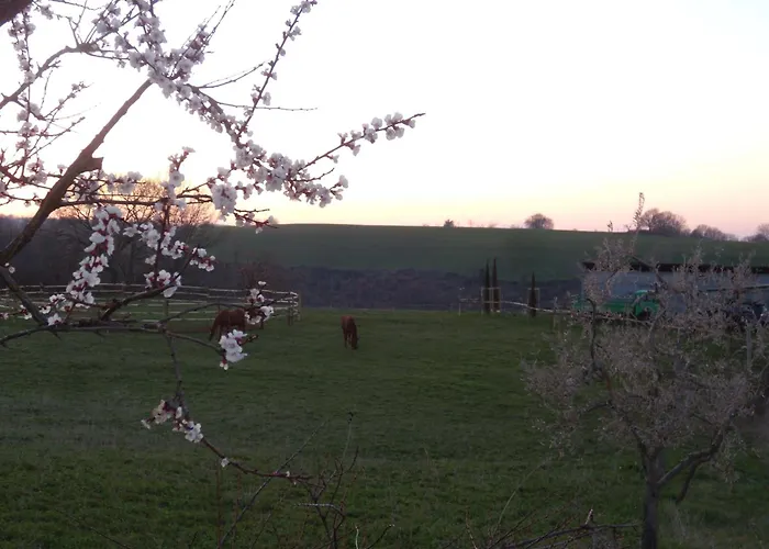 Podere Delle Rose