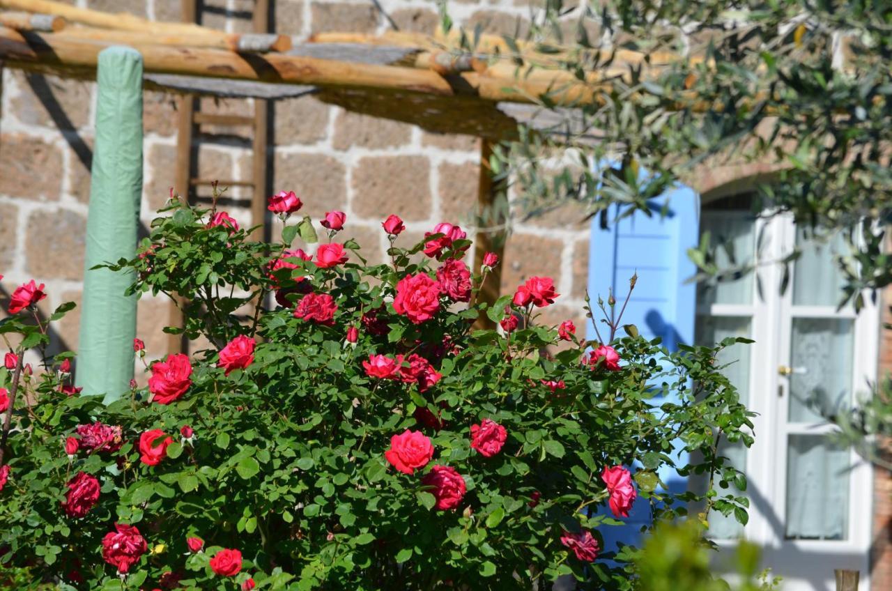 Podere Delle Rose *