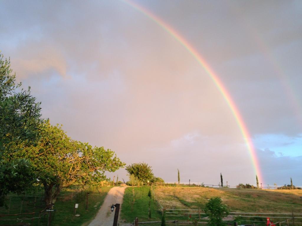 Alojamento de Turismo Rural Podere Delle Rose *
