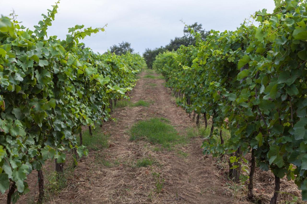 Séjour à la ferme Podere Delle Rose