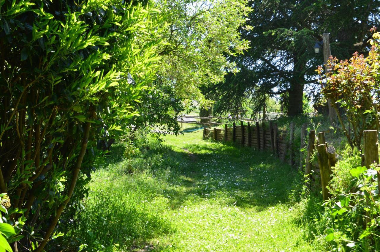 Alojamento de Turismo Rural Podere Delle Rose *