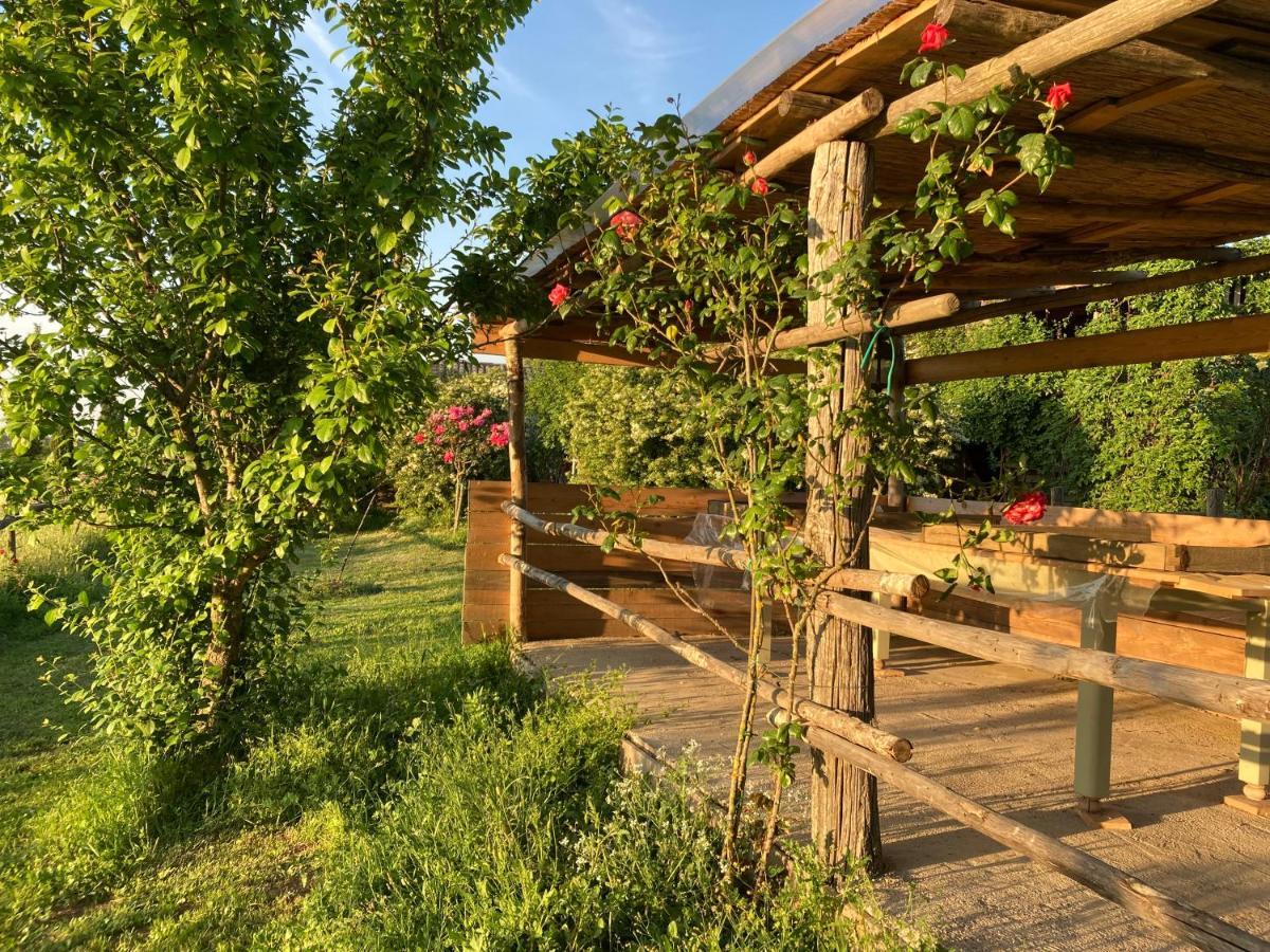 Farm stay Podere Delle Rose Torre San Severo
