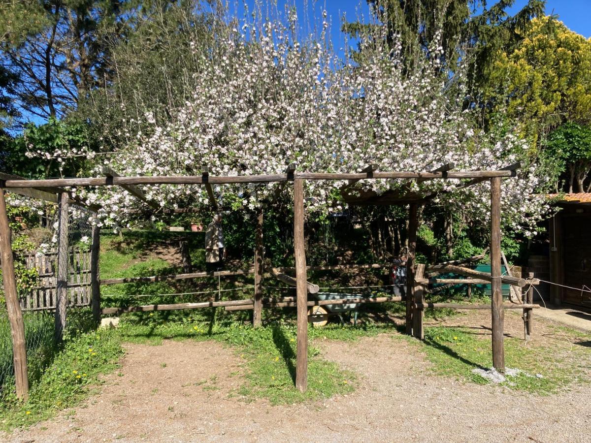 Podere Delle Rose Alojamento de Turismo Rural Torre San Severo