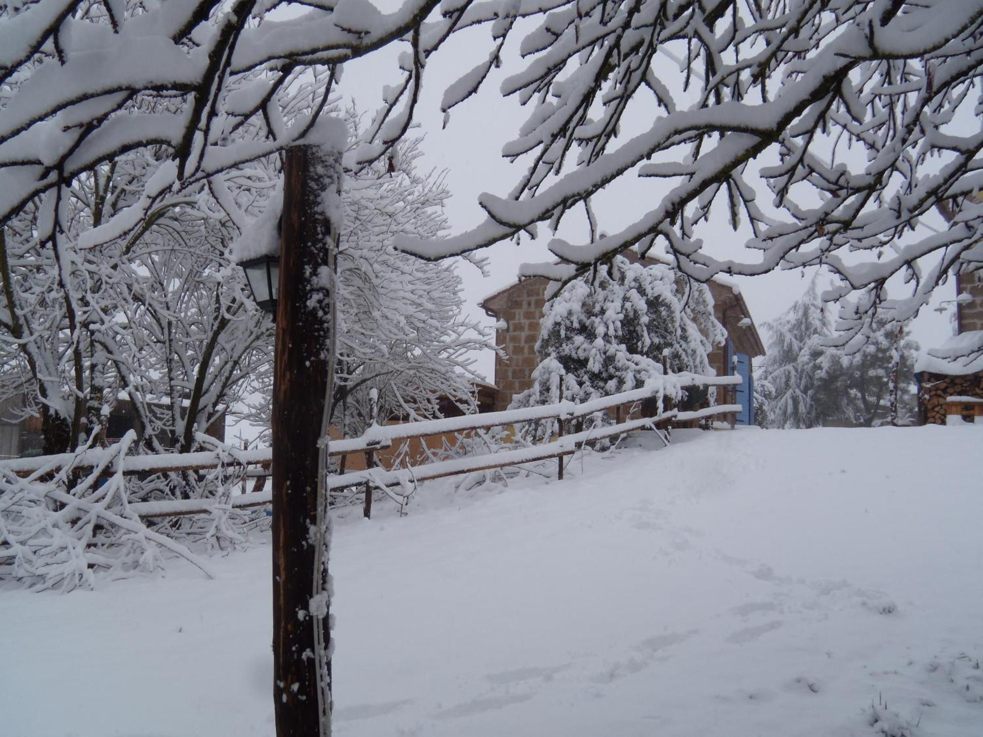 Alojamento de Turismo Rural Podere Delle Rose *