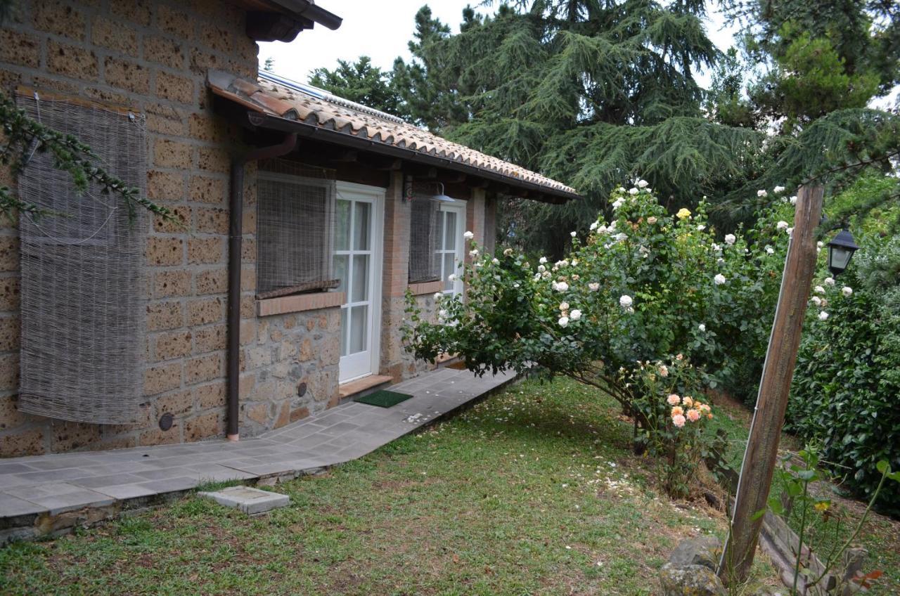 Alojamento de Turismo Rural Podere Delle Rose